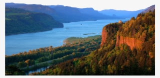 Nature - Columbia River Gorge #8009484