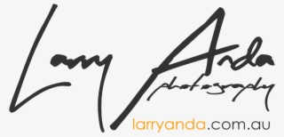 1600 X 782 6 - Calligraphy #8009838