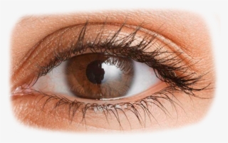 Png Eye - Png Image Of Eye #8010678