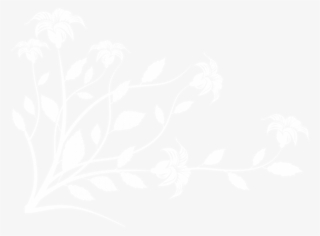 Download Floral Decoration Clipart Png Photo - Orchid #8010882