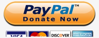 Paypal Donate Button - American Express #8012153