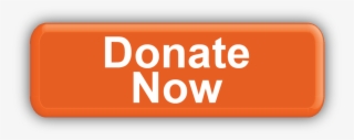 Orange Donate Now Button #8012252