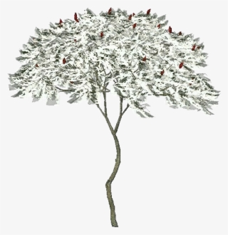 Artificial Flower #8012547