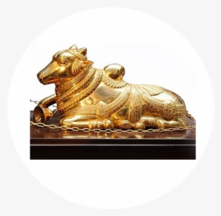 Nandi Award - Andhra Pradesh Nandi Awards #8013412