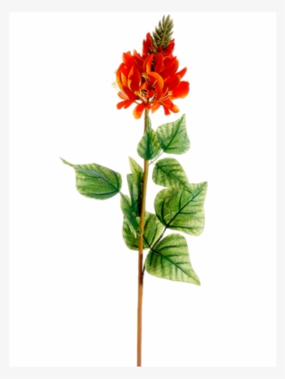 28" Flame Tree Flower Spray Orange - Chinese Hibiscus #8013540