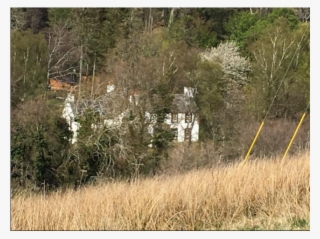 Old Converted Country Inn - Hierochloe #8014997