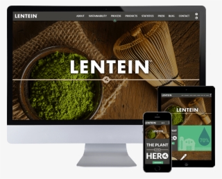 Lentein Website - Multimedia Software #8015093