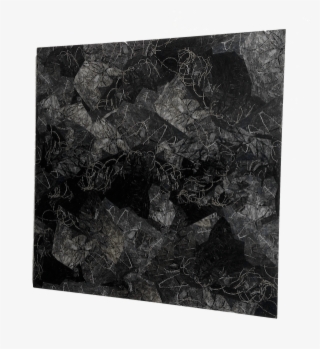 Steve Sabella, Metamorphosis , #8015156