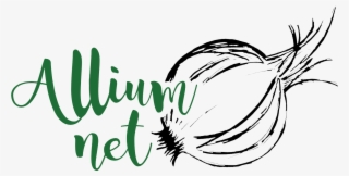 Alliumnet - Red Onion #8015264