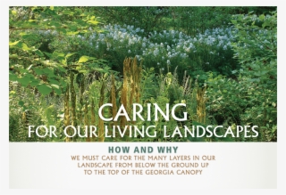 Georgia Native Plant Society Annual Symposium - Botanical Garden #8015550