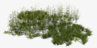 View In My Picture - 3d Grass For Photoshop Rendering #8015596