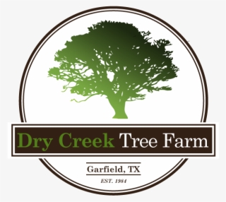 Dry Trees Png #8015906