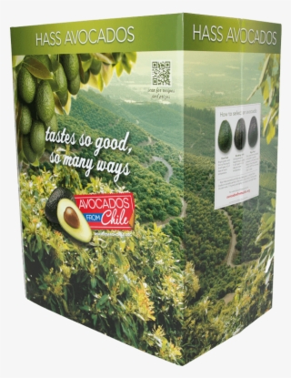 Counter Top Display With Product Lift - Balsam Fir #8016165