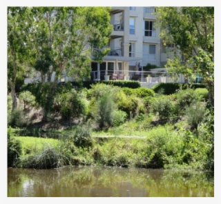 Luxury Top Floor Resort Apartment On The Gold Coast - Pond #8016271