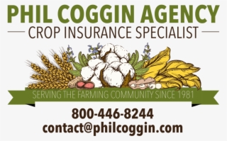 Phil Coggin Logo - Hospital Santa Elisa #8016667