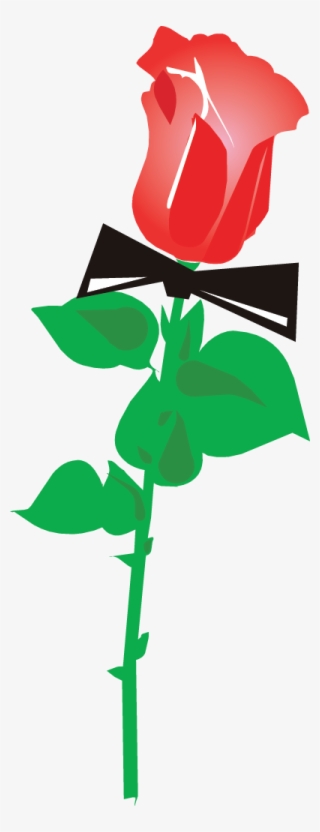 Png Download - Red Rose #8017971