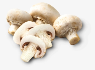Mushrooms - Champignon Mushroom #8018003