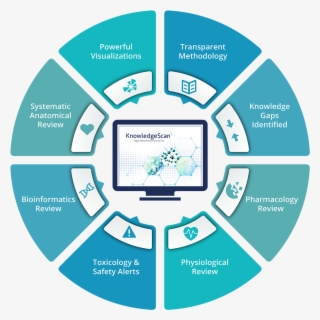 Ball Clipart Baskett - Basketball Ball Logo - Free Transparent PNG
