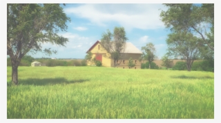 Faded Nebraska-364189 #8022220