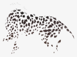 Jaguar #8023102 Jaguar #8023102