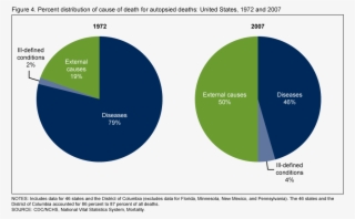 Causes Of Suicide Pie Chart #8024778