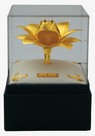 Golden Lotus - Trophy #8025658