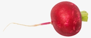 Radish - Rose Hip #8027117