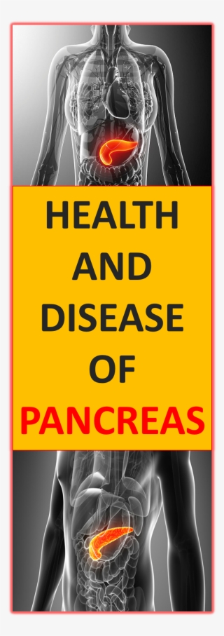 Health Of Pancreas Is Necessary For Good Function Of - Poster #8029707