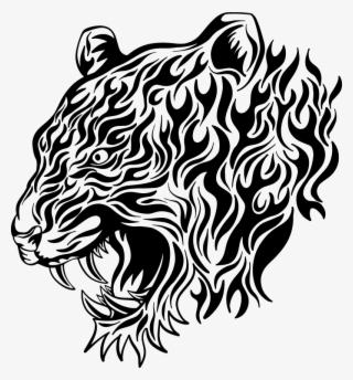 Tiger Face Non Copyright #8030893