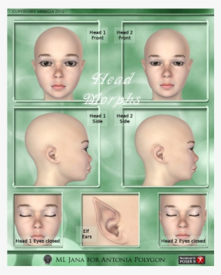 Previous Next - Buzz Cut #8031975