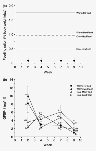 Effects Of Temperature And Feeding Ration On Plasma - Experiment #8032371