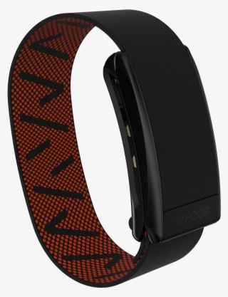 Courtesy Image 1 / - Belt #8032800