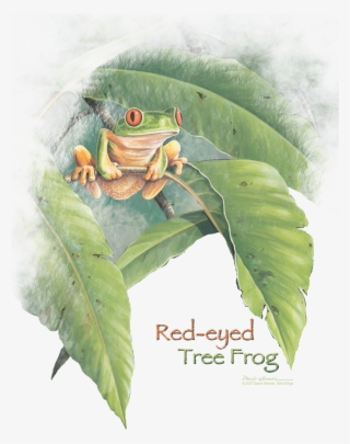 Available On These Products - Agalychnis #8033456