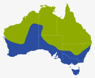 A Map Showing The Geographic Distribution Of The Red - Map Of Australia #8033773