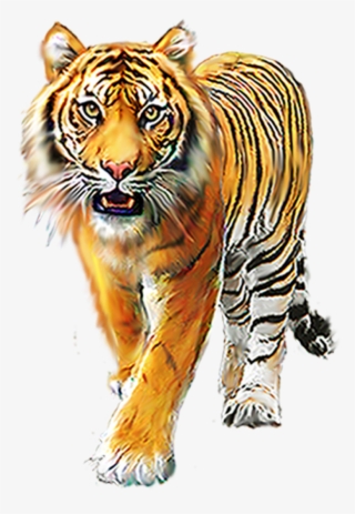 Cartoon Tiger Png - Ranthambore National Park #8033942