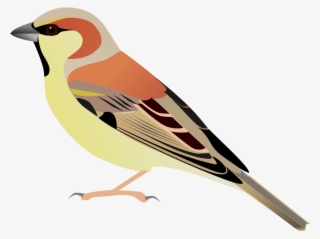 Sparrow Bird Watercolor Painting - Sparrow Vector Png #8034637
