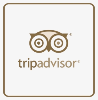 Trip Advisor Facebook - Owl #8034889
