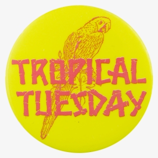 Tropical Tuesday - Circle #8035001