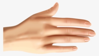 Download Hand Clipart Png Photo - Manicure #8035099