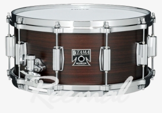 Tama Snare Drum Rw256xl - Marching Percussion #8035666