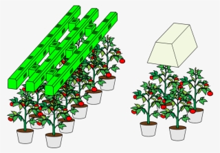 Green Fusion Led @ 1195 Watts Vs #8036752