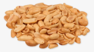 Like - Groundnut Png #8036786