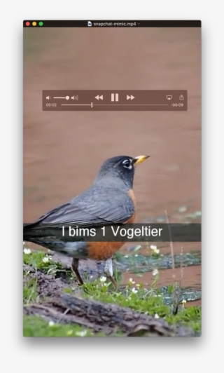 Project Description - Blackbird #8036821