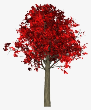 Arbre D Automne Png #8037384
