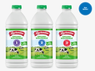 Light-blocking Bottle & Cap - Lactancia Pur Filter Milk #8037896