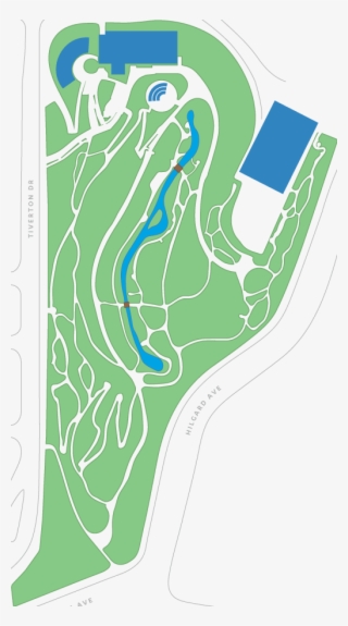 Aechmea Sphaerocephala Bromeliad Garden Bromeliad - Mildred Mathias Botanical Garden Map #8039411