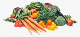 Photo By Jav Ducker - Broccoli #8039468