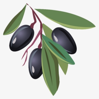 Olive Dessin Couleur #8039474