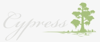 Cypress Pensicola Restaurant - Borassus Flabellifer #8039624