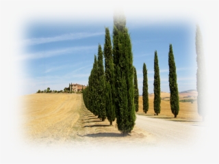 Val D'orcia, Nuanced - Val D Orcia #8039866